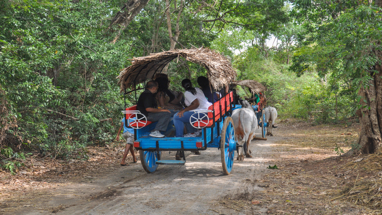 Hiriwadunna Village Tour from Dambulla