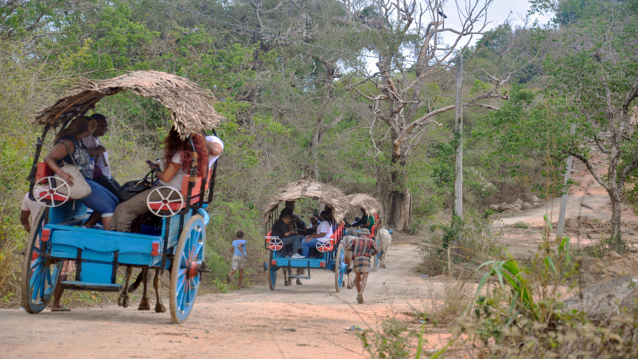 Hiriwadunna Village Tour from Dambulla