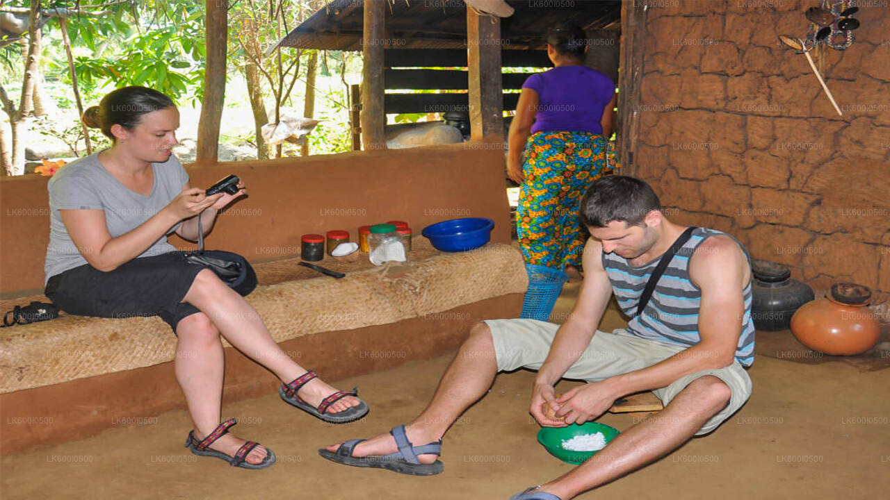 Sigiriya Village Tour and Lunch from Dambulla