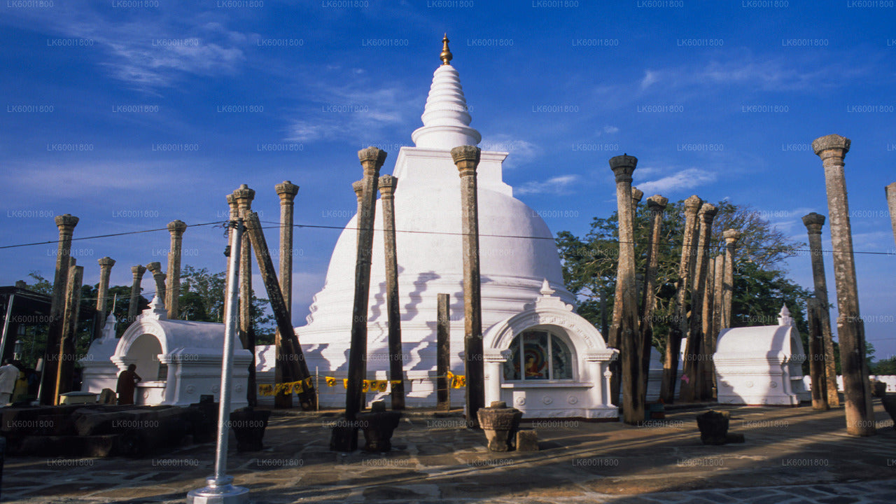 Tour delle icone buddiste di Anuradhapura da Dambulla