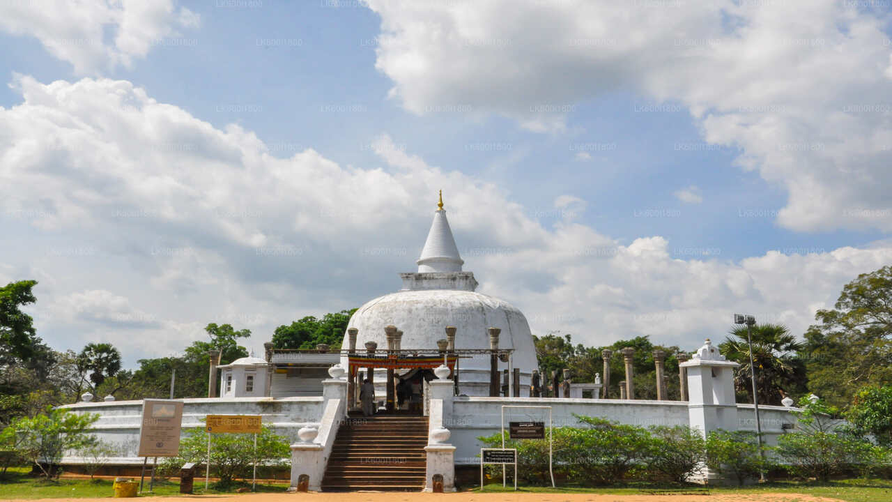 Tour delle icone buddiste di Anuradhapura da Dambulla