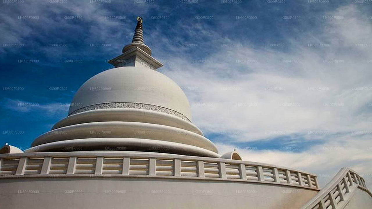 Tour di templi nascosti e coste appartate da Galle