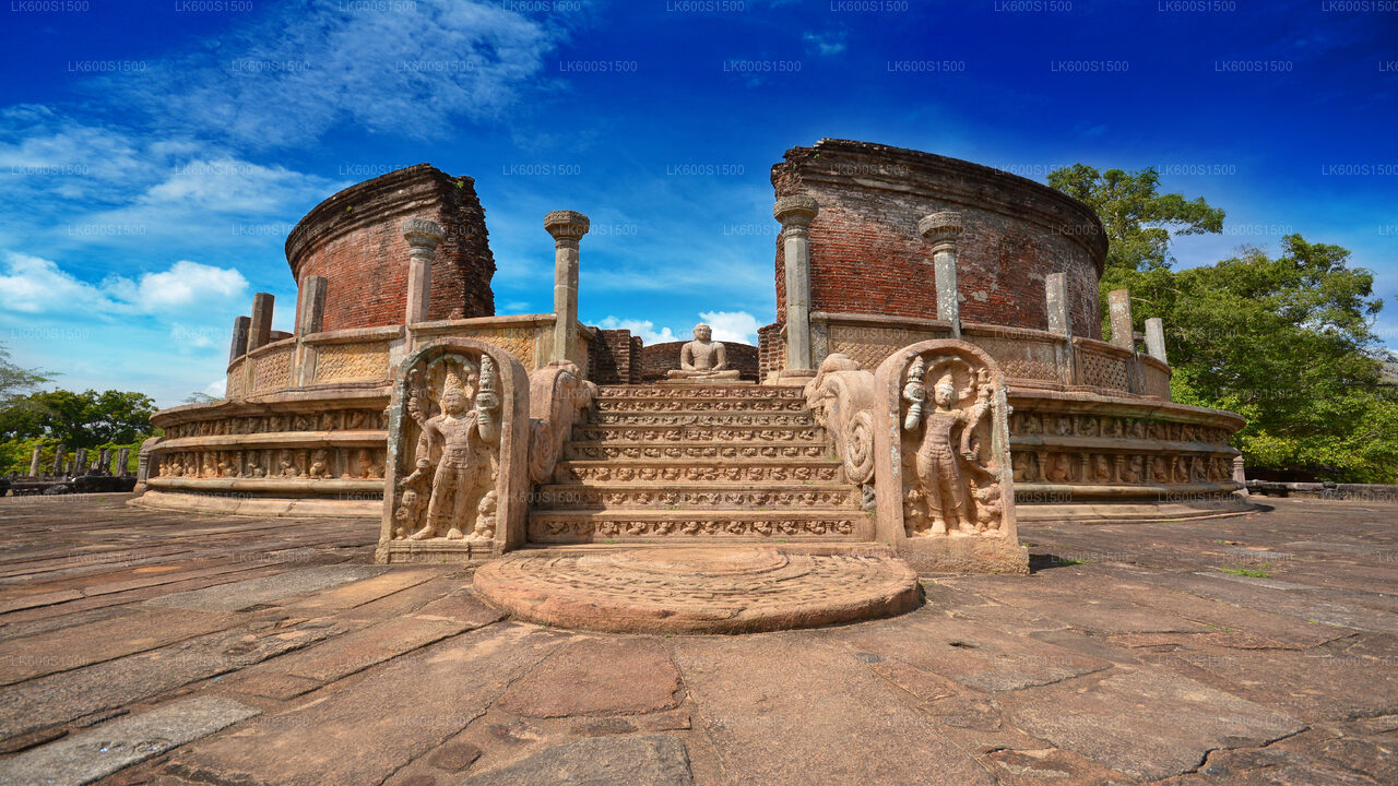 Safari sull'antico regno di Polonnaruwa e sugli elefanti selvatici da Habarana