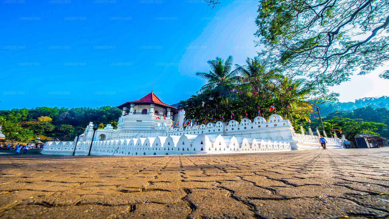 Kandy City Tour from Habarana