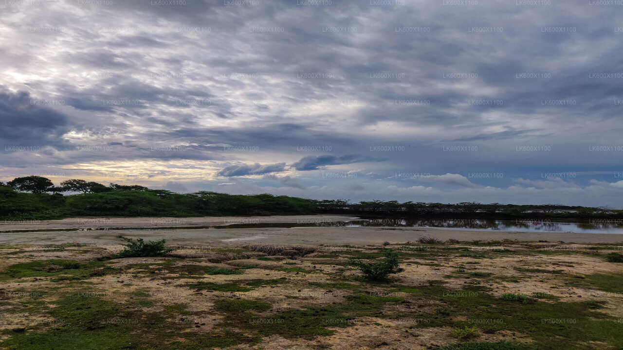 Bundala National Park Safari from Hikkaduwa