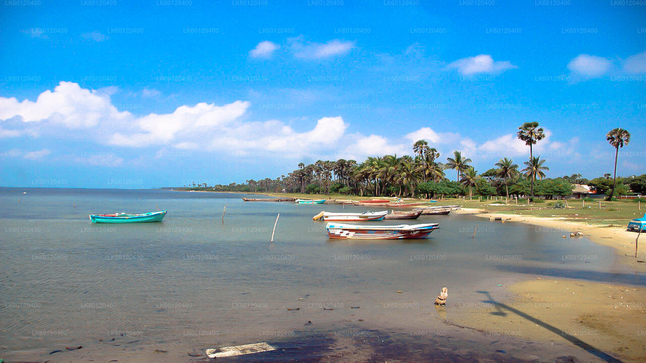 Delft Island and Velanai Island from Jaffna