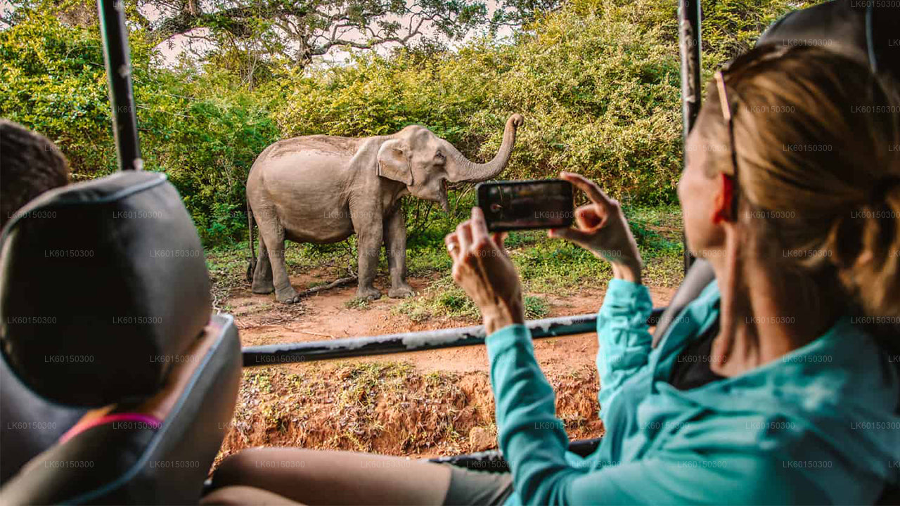 Safari nel Parco Nazionale di Yala da Tangalle