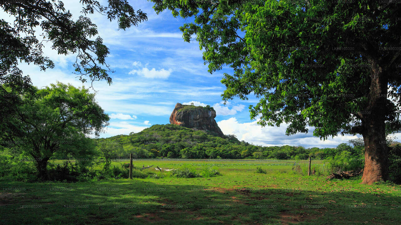 La roccia di Sigiriya e la grotta di Dambulla da Kalutara