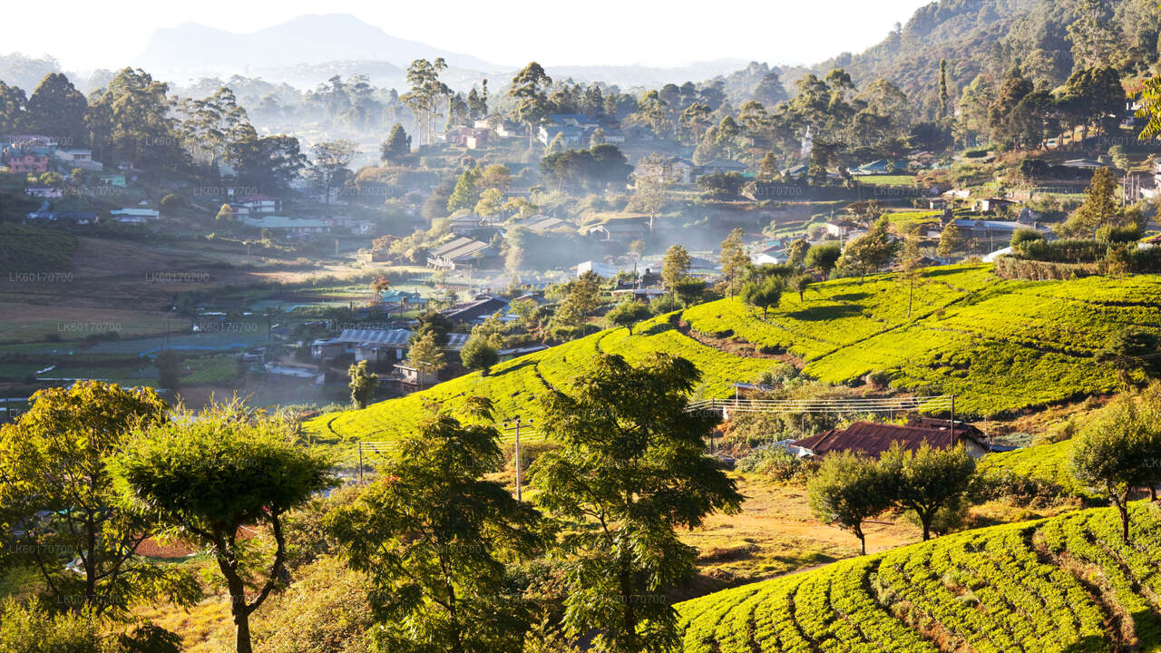 Punto di picco delle Highlands centrali da Kandy