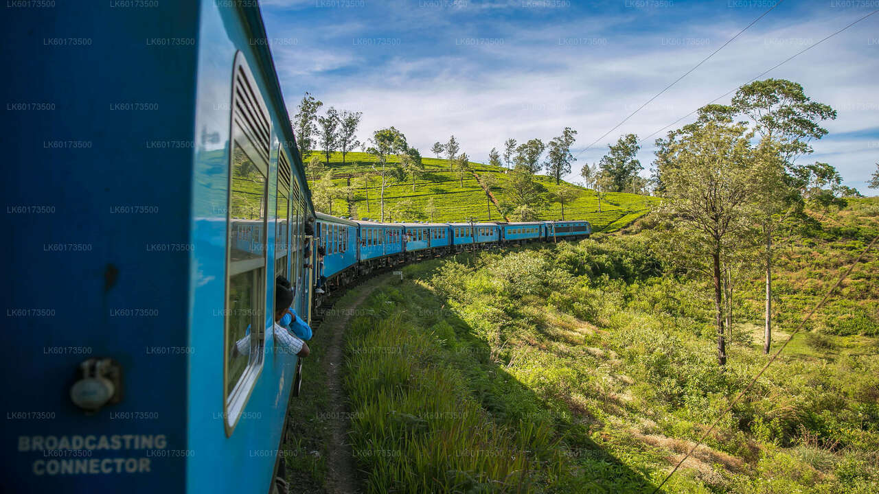 Viaggio panoramico in treno a Ella da Kandy