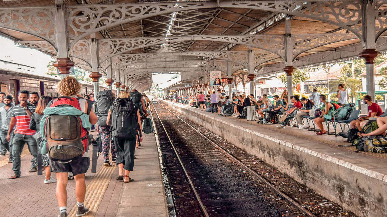 Viaggio panoramico in treno a Ella da Kandy