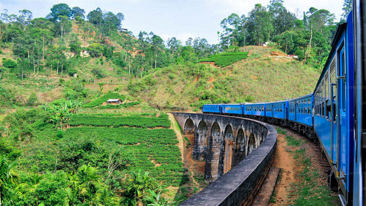 Viaggio panoramico in treno a Ella da Kandy