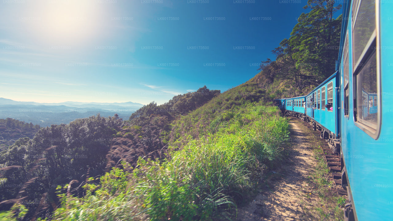 Viaggio panoramico in treno a Ella da Kandy