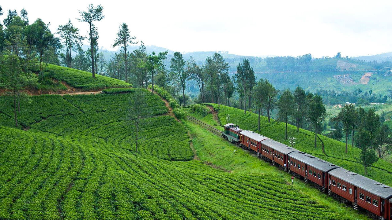 Viaggio panoramico in treno a Ella da Kandy