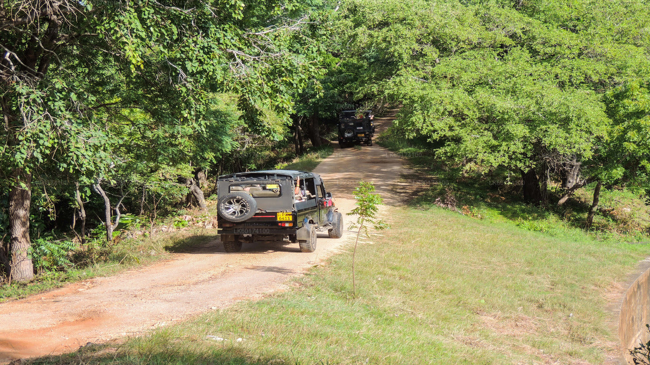 Safari nel Parco Nazionale di Kaudulla da Kandy