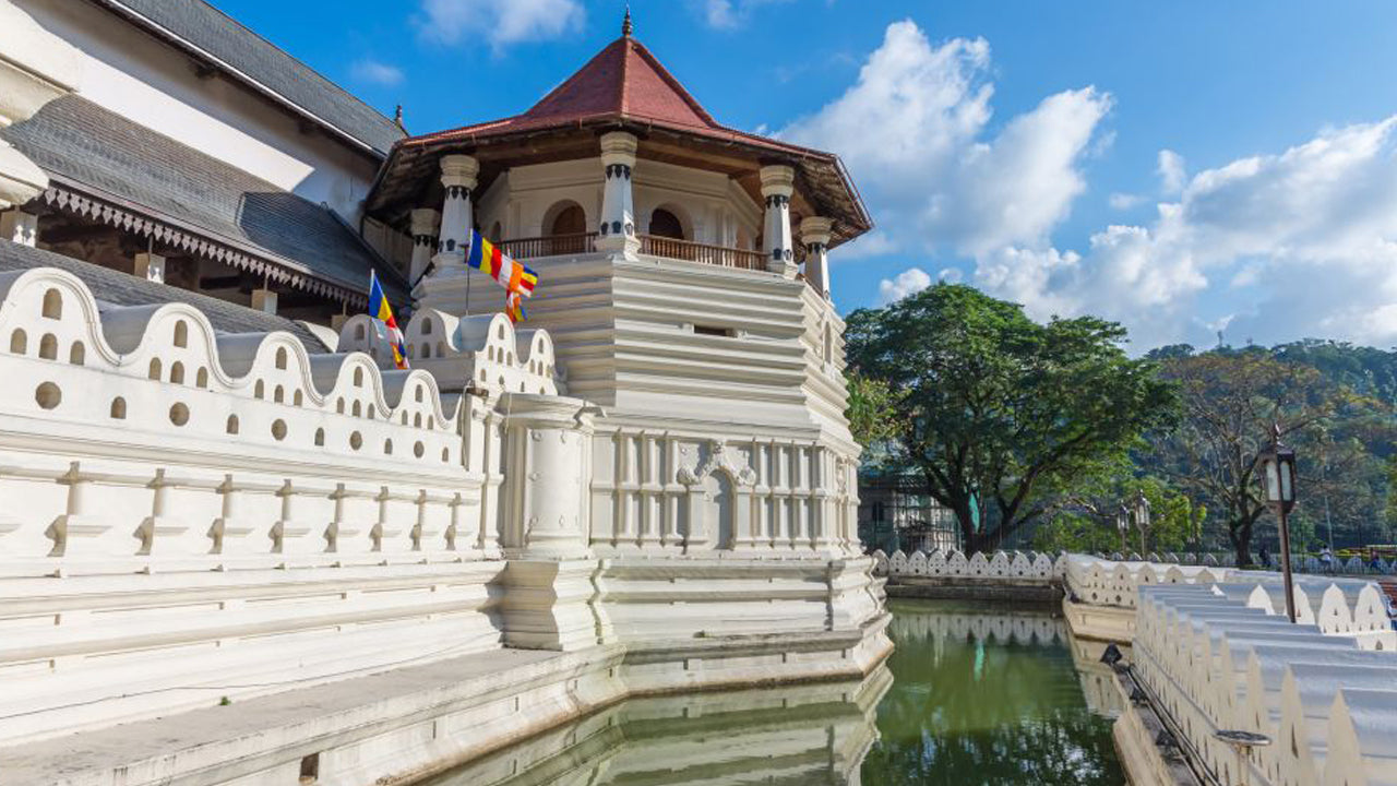 Tour di Pinnawala e Kandy da Colombo