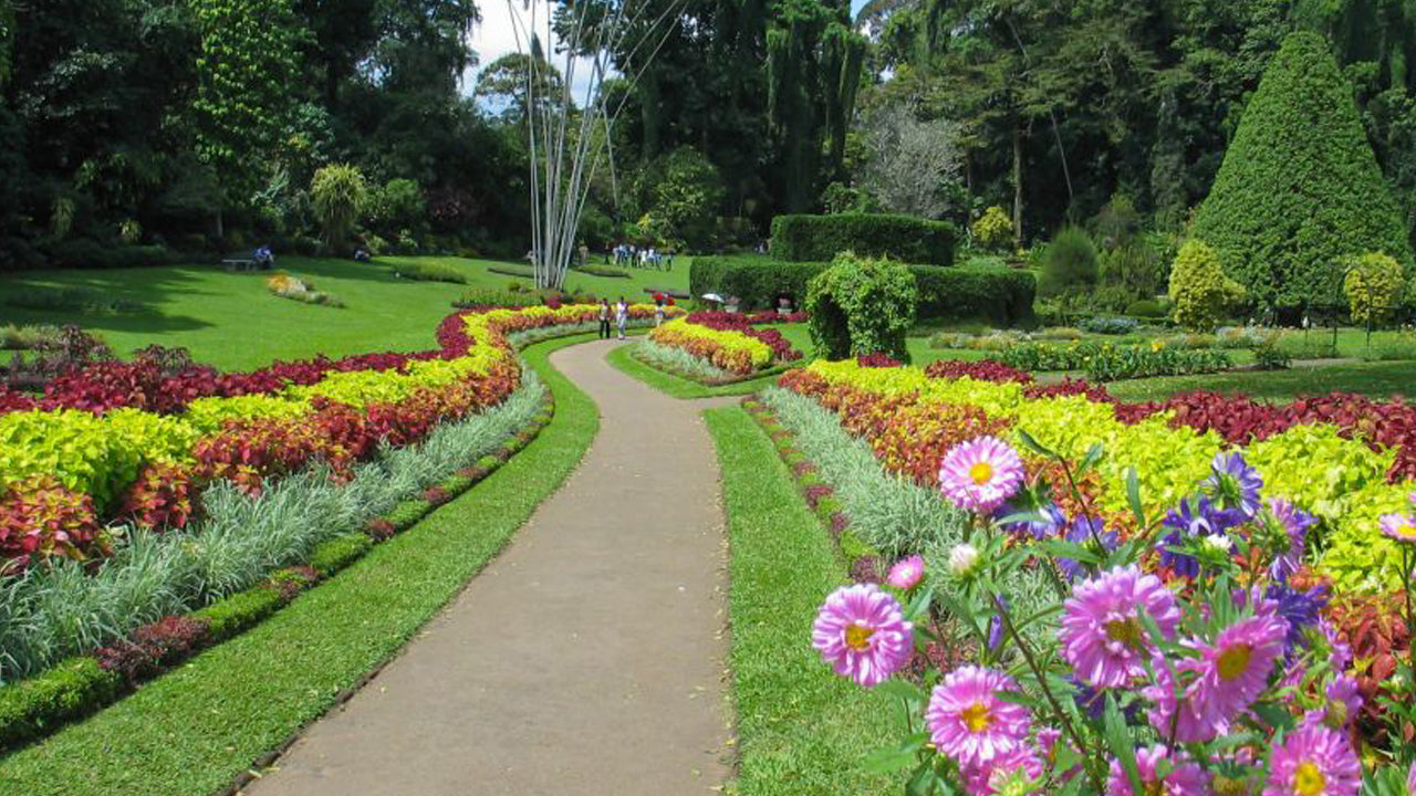 Tour di Pinnawala e Kandy da Colombo