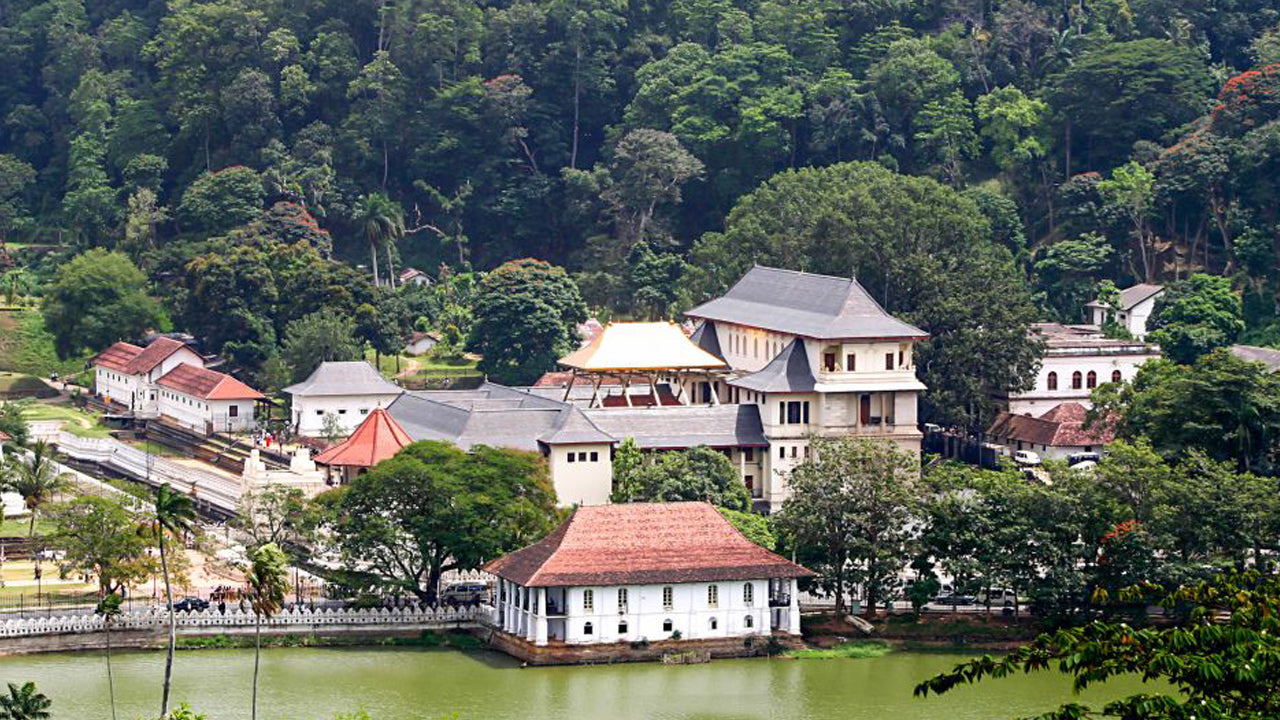 Tour di Pinnawala e Kandy da Colombo