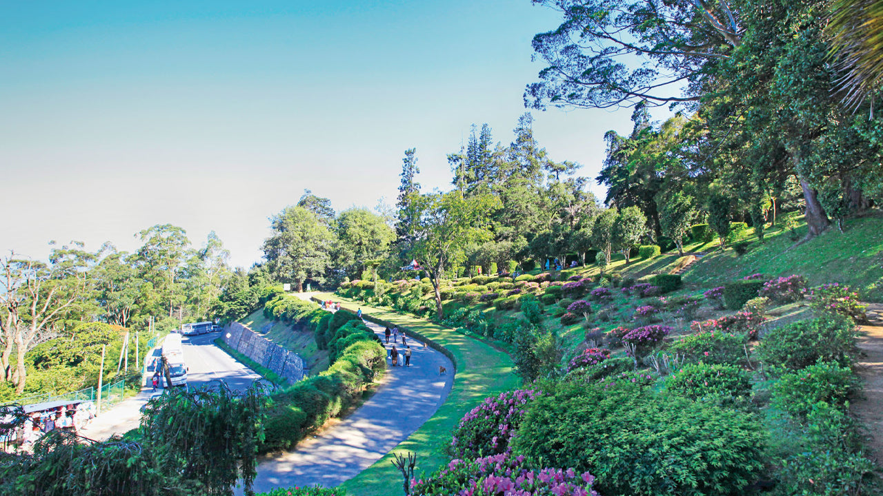 Tour di Pinnawala e Kandy da Colombo