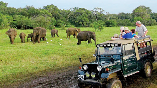 Safari nel Parco Nazionale di Bundala da Koggala