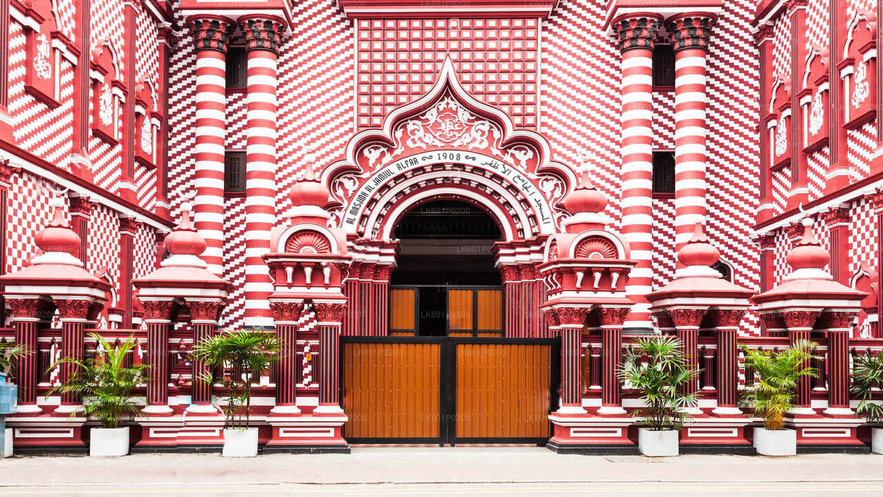Tour della città di Colombo da Negombo