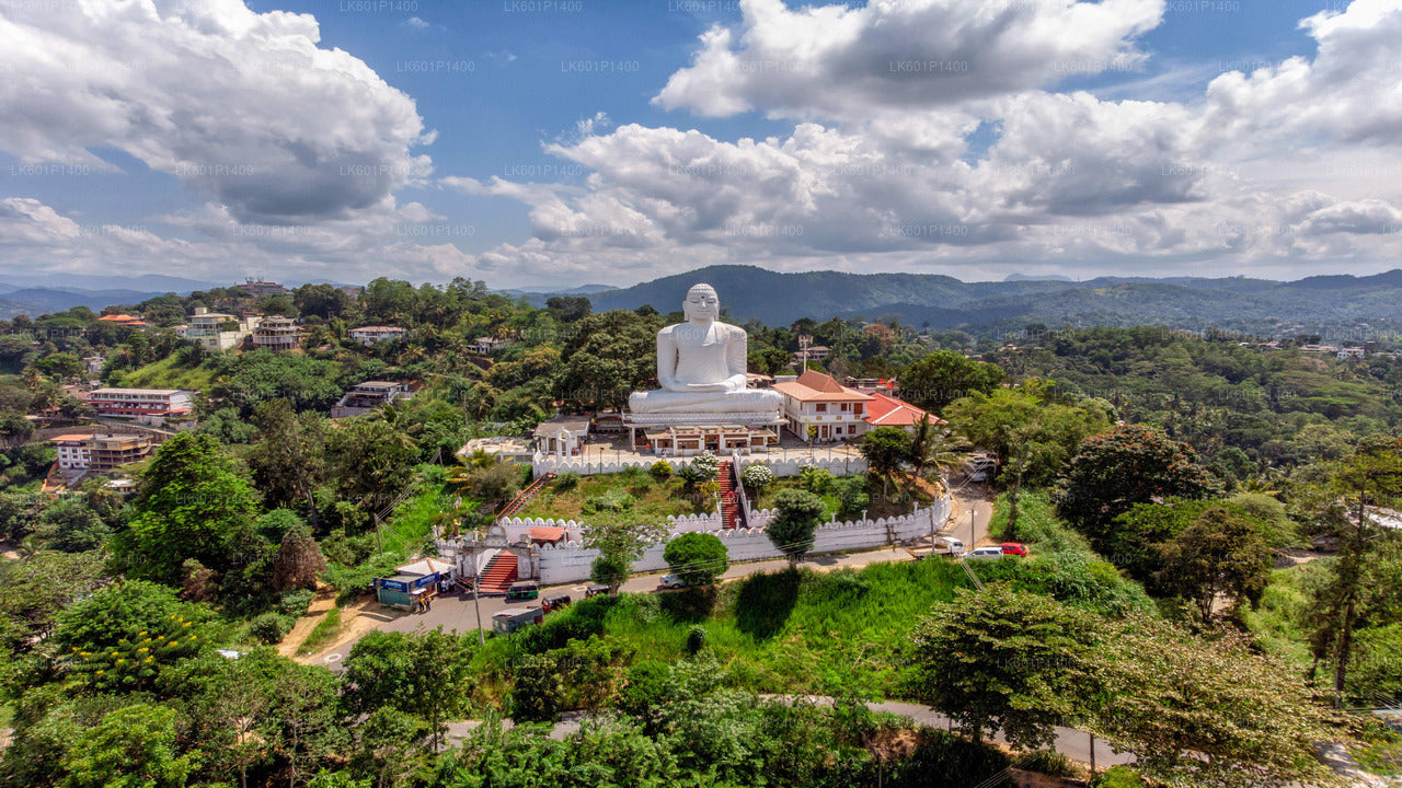 Kandy City Tour from Negombo