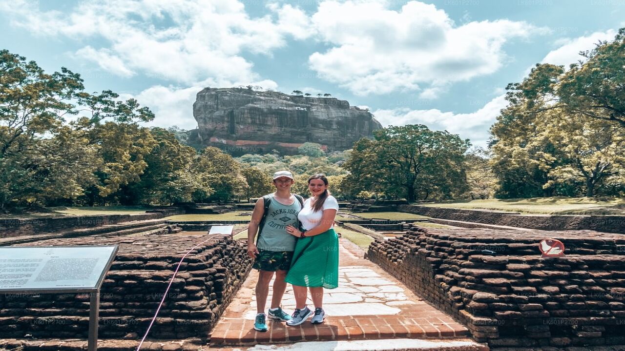 Safari tra Sigiriya Rock e Wild Elephant Elephant da Negombo