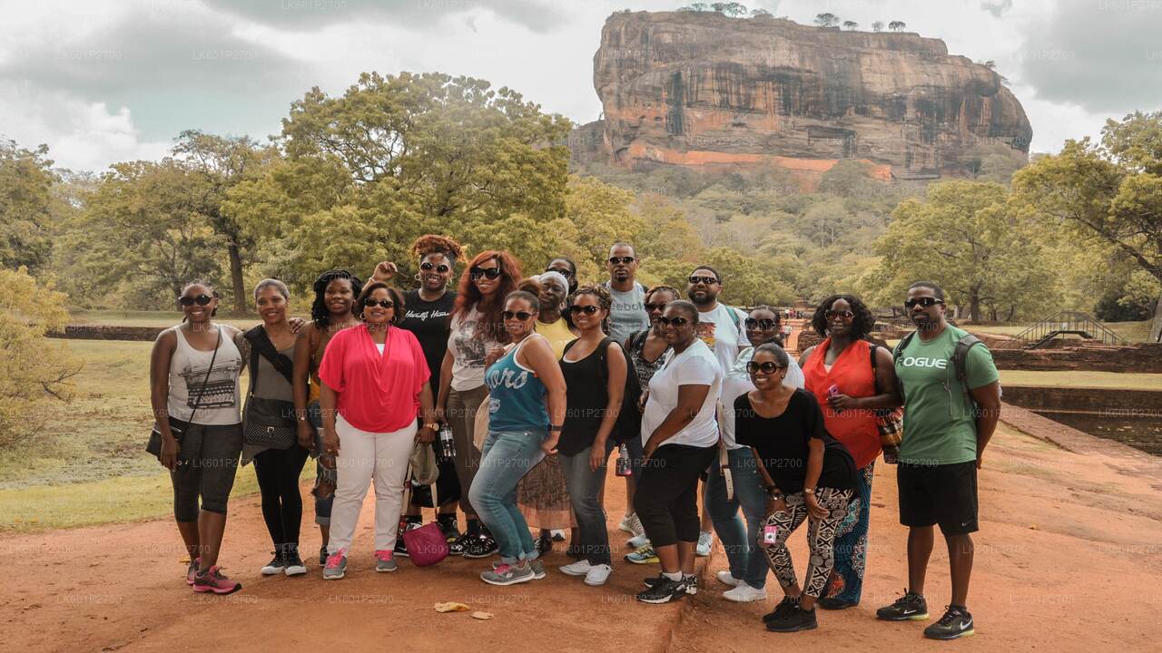 Safari tra Sigiriya Rock e Wild Elephant Elephant da Negombo