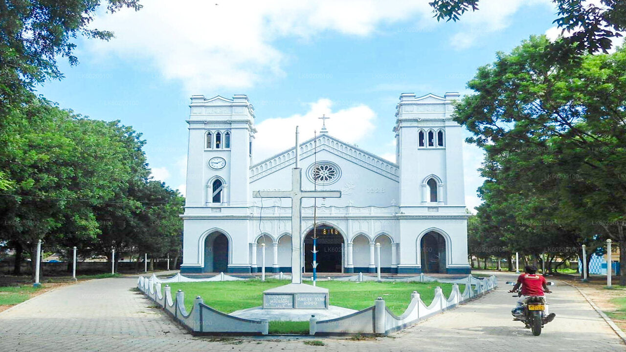 Tour della città di Jaffna e dell'isola di Nagadeepa da Jaffna