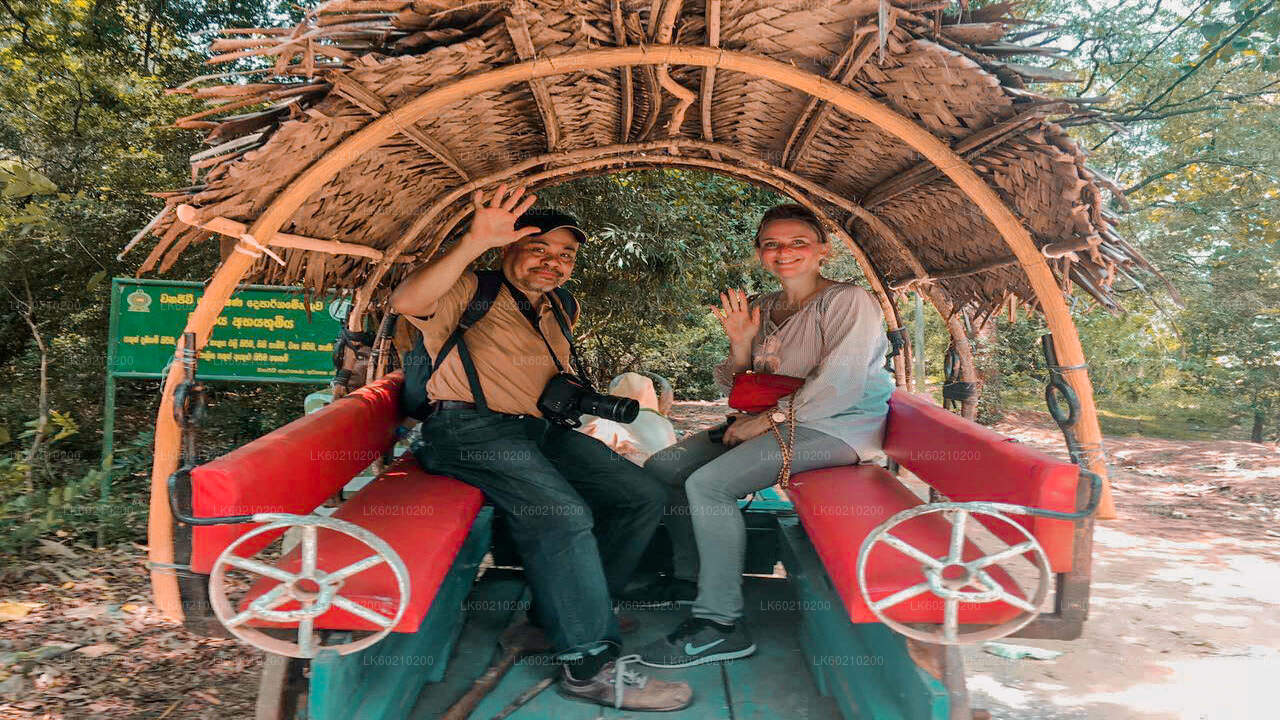 Tour e pranzo del villaggio di Sigiriya