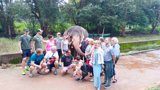 Safari a dorso di elefante da Habarana