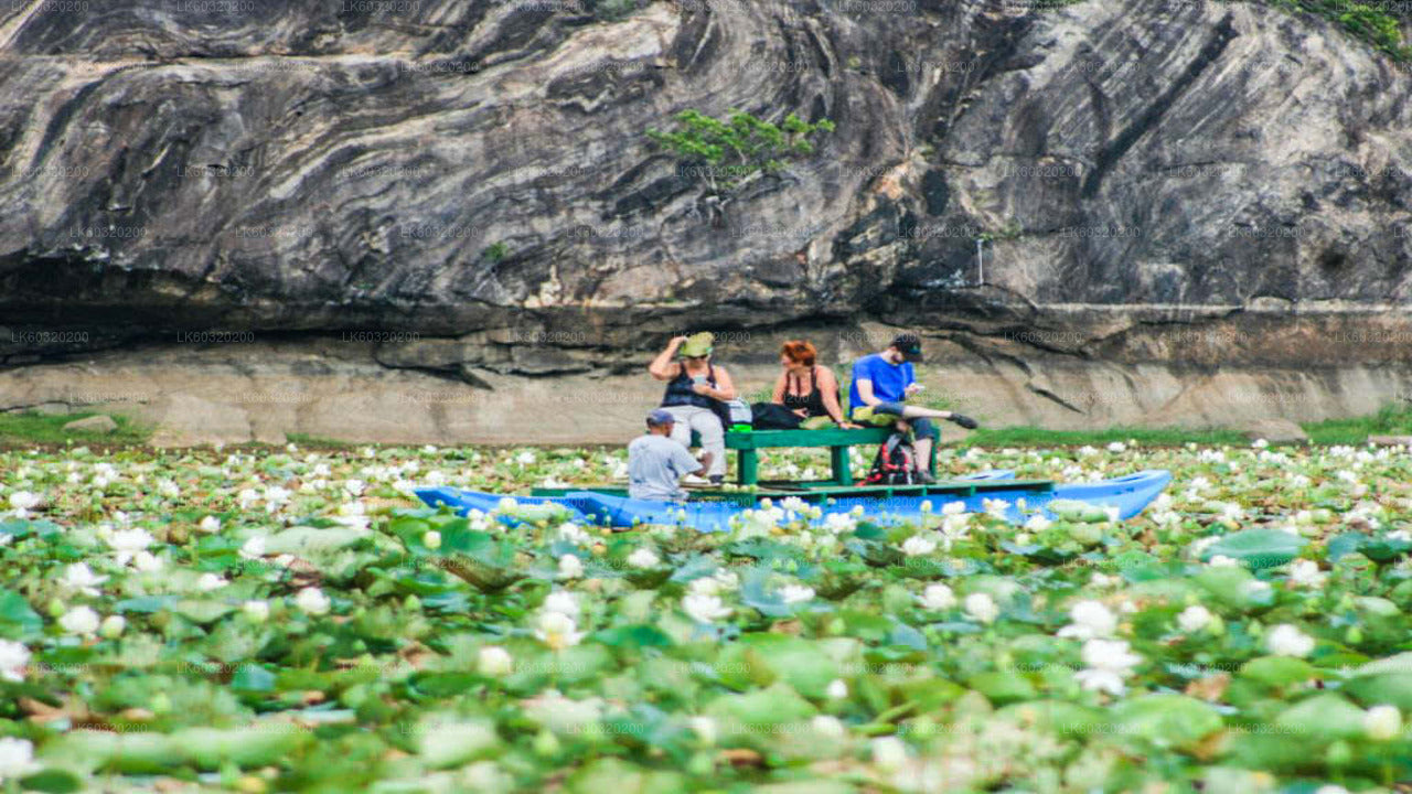 Sigiriya Village Tour from Habarana