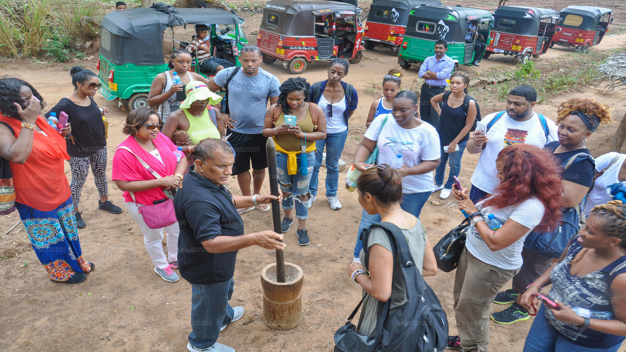 Sigiriya Village Tour from Habarana