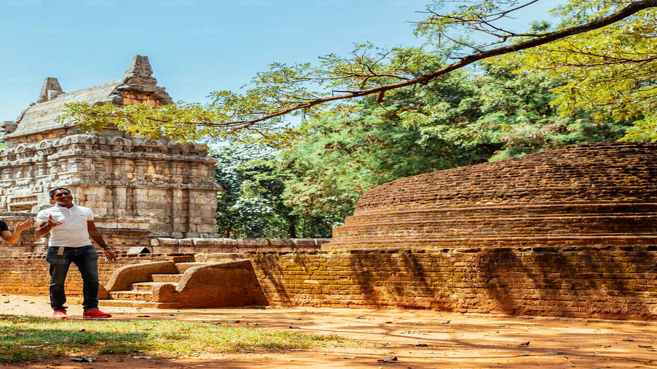 Sigiriya e Dambulla da Colombo