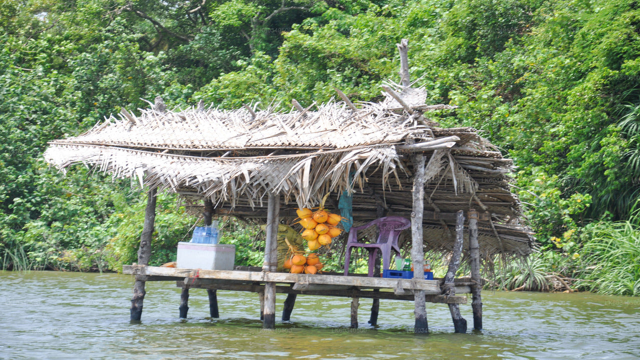 Bentota City Tour from Panadura