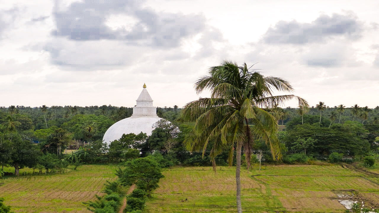 Village Experience from Tissamaharama