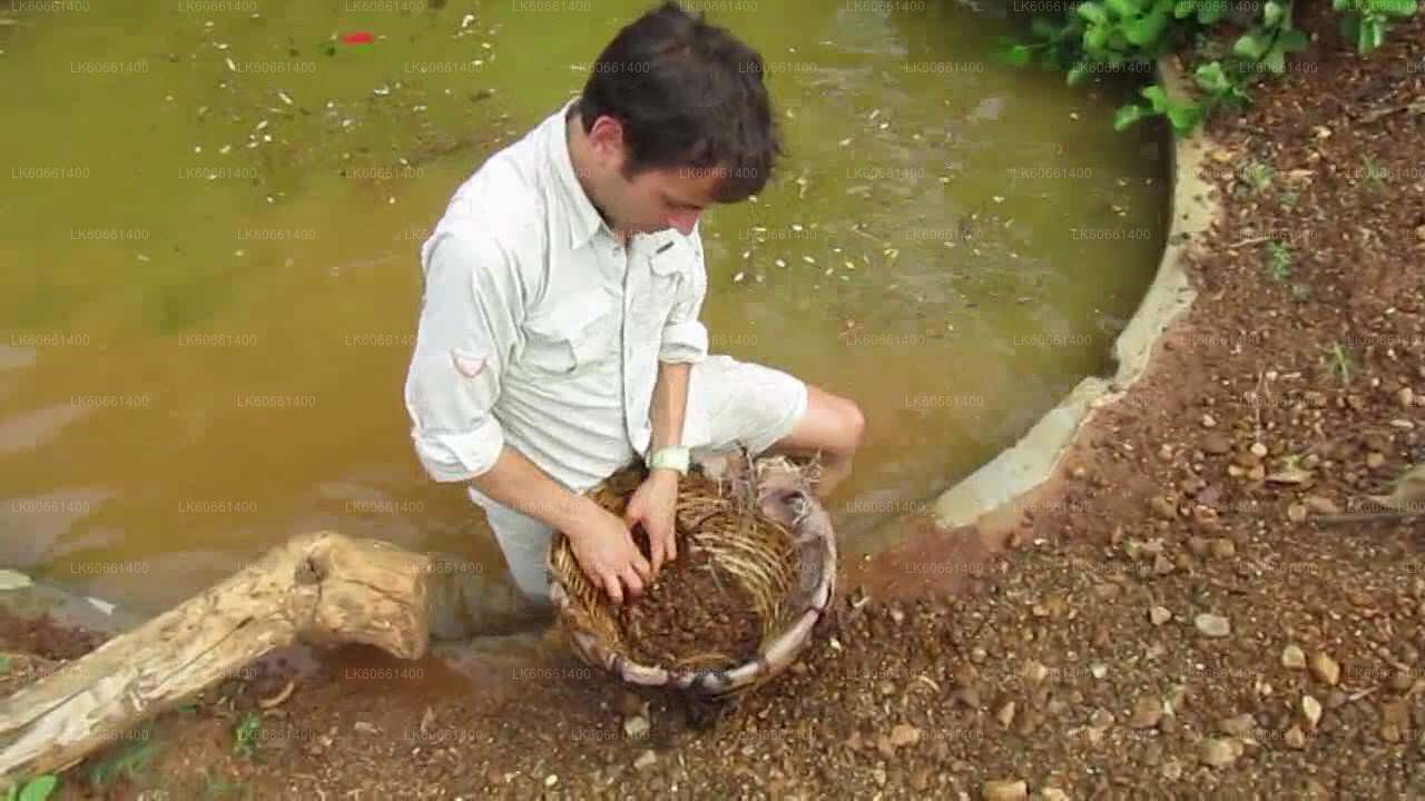 Esplora le miniere di gemme a Ratnapura dal Monte Lavinia