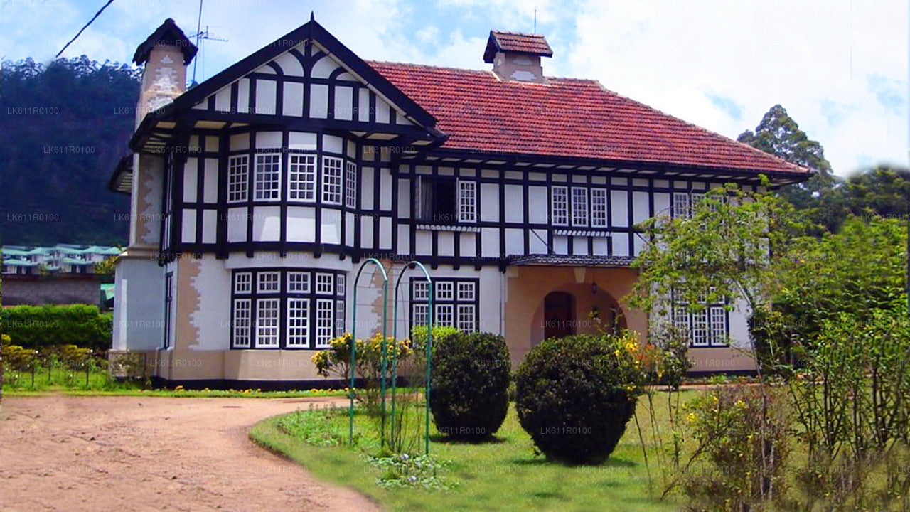 Tour della città di Nuwara Eliya