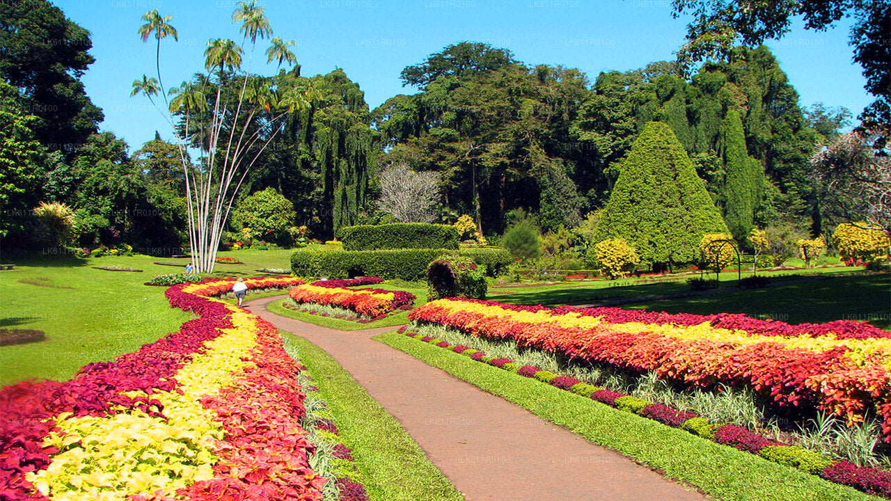 Tour della città di Nuwara Eliya