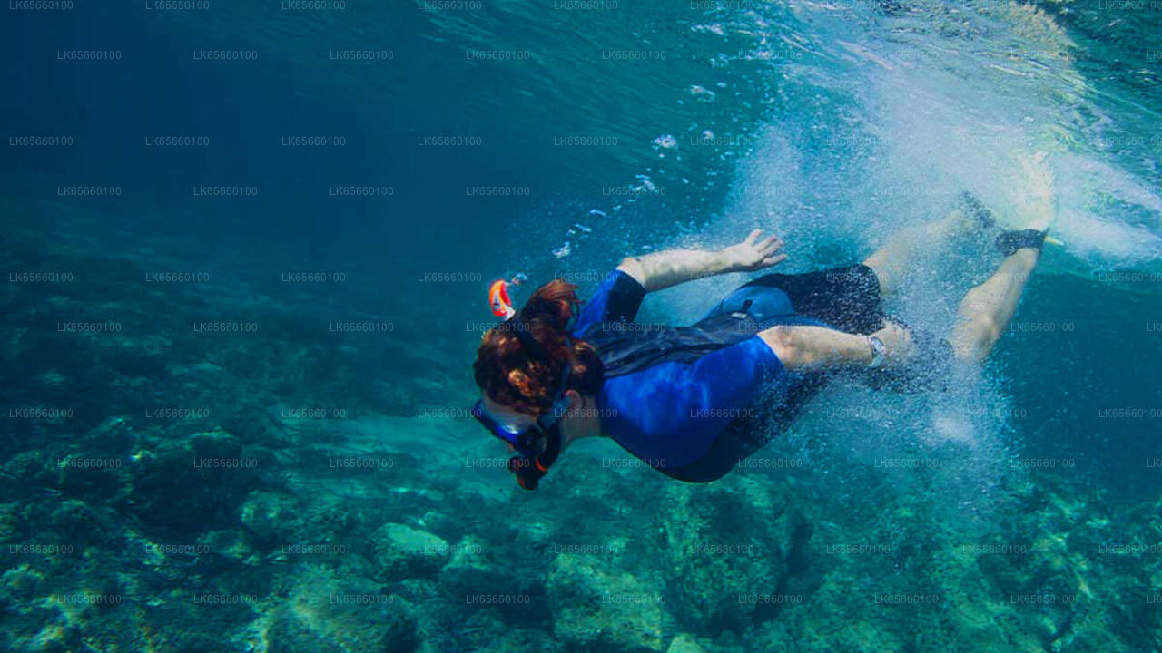 Immersioni subacquee a Mount Lavinia