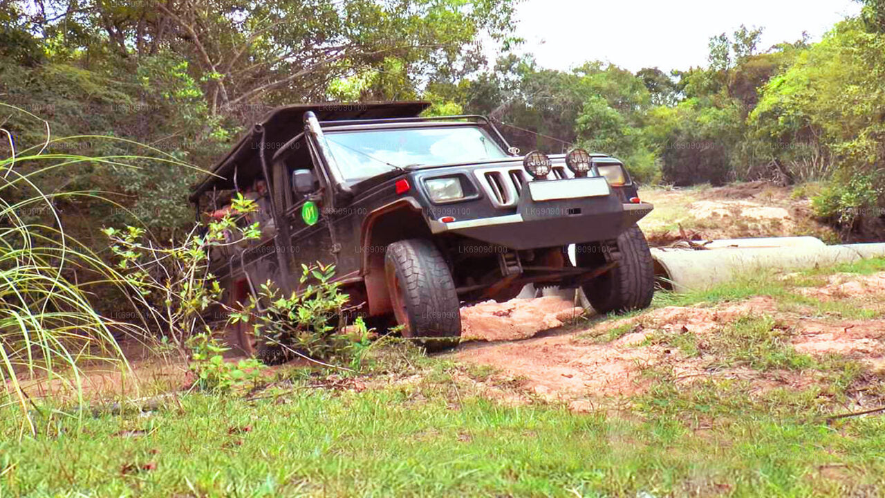 Tour in 4WD dei punti salienti di Ella Highland da Ella