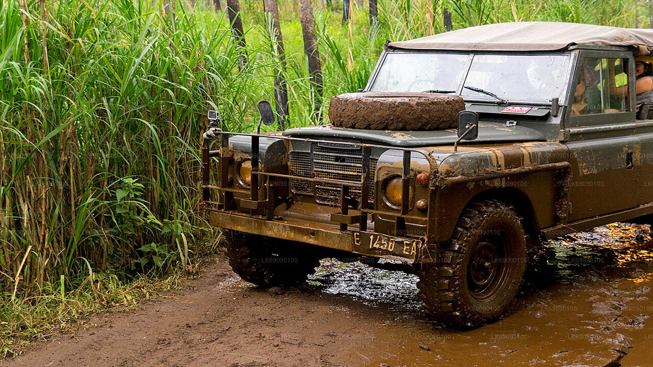 Tour in 4WD dei punti salienti di Ella Highland da Ella