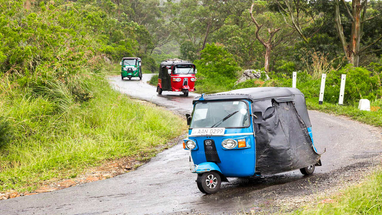 Avventura in tuk tuk di Ella