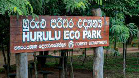 Biglietti d'ingresso all'Hurulu Eco Park