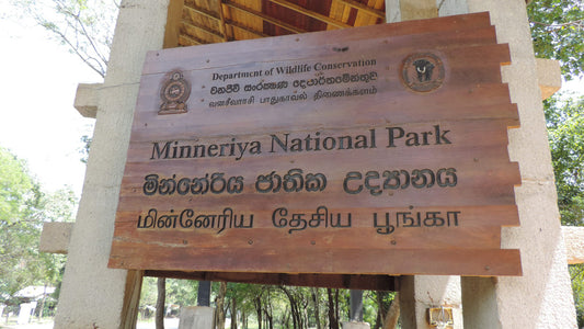 Biglietto d'ingresso al Parco Nazionale di Minneriya