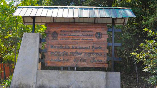 Biglietti d'ingresso al Kaudulla National Park