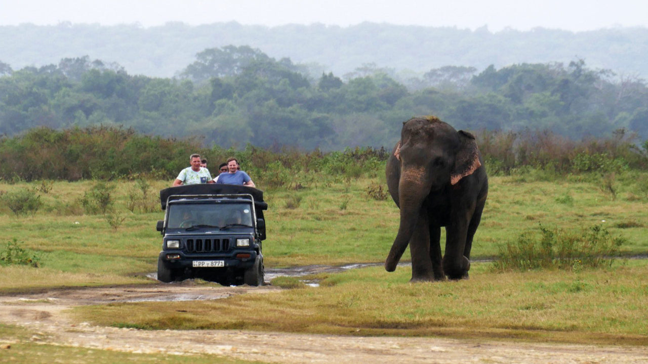 Biglietti d'ingresso al Kaudulla National Park