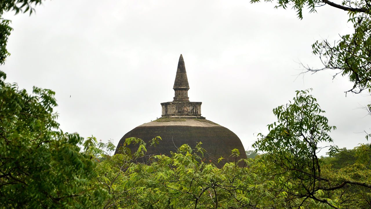 Biglietti d'ingresso alla città antica di Polonnaruwa