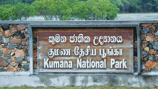 Biglietti d'ingresso al Parco Nazionale di Kumana