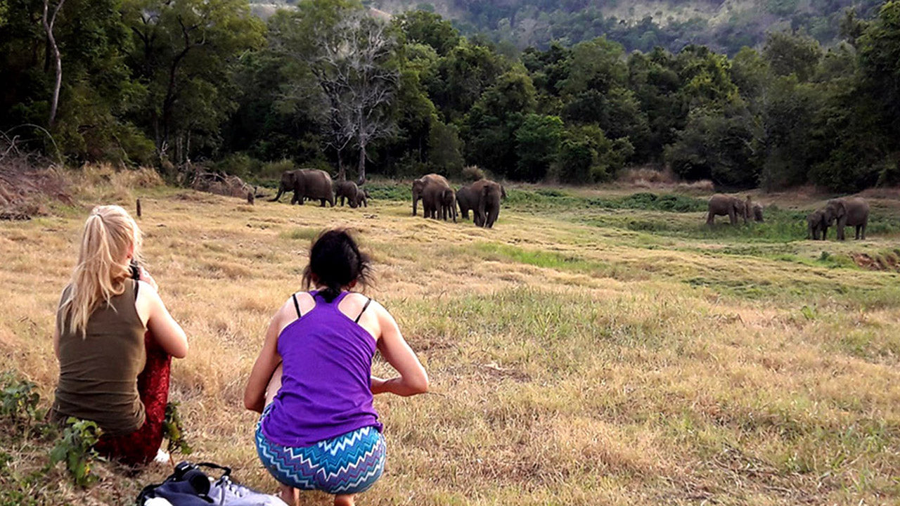 Biglietti d'ingresso al Wasgamuwa National Park